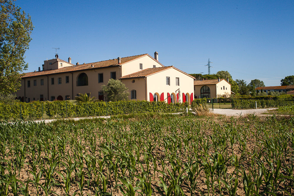 Cascina Canova San Giuliano Terme Exterior foto